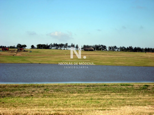 50 Metros De Costa, Acepta Financiacion Sin Interes, Venta, Chacra, Punta Del Este, Uruguay, Laguna De Los Cisnes