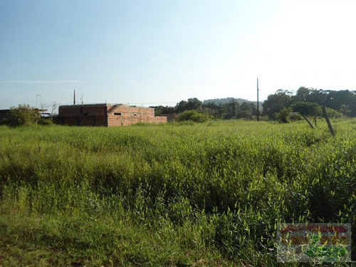 Terreno Para Venda Em Peruíbe, Jardim Somar - 0289_2-231411