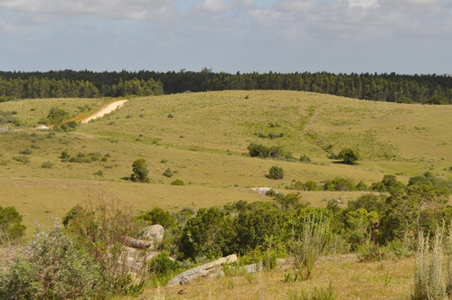 Venta De Chacras De 5 Has Se Ubicado En Garzon - Ref: 2962