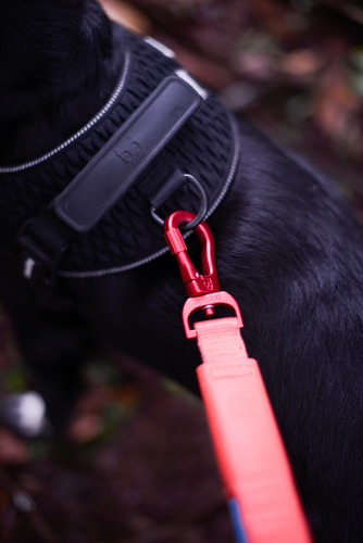 Guia Zee Dog Air Leash 1,5m Cor Crimson