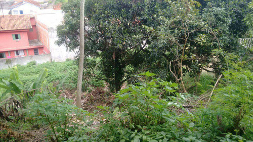 Imagem 4 de 7 de Terreno, Centro, Santana De Parnaíba - R$ 1.5 Mi, Cod: 234812 - A234812