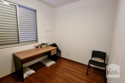 Imagem 8 de 15 de Apartamento À Venda No Coração De Jesus - Código 376642 - 376642