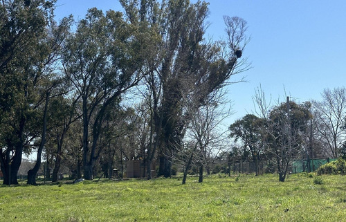 Venta - Lote Interno - Estancia Carabassa | Vco Propiedades