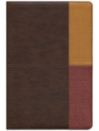 Rvr 1960 Biblia Arcoíris Cocoa Terracota Símil Piel Índice