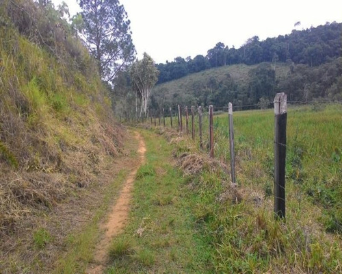 Imagem 14 de 30 de Fazenda - 0195 - 32820324
