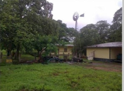 Imagen 1 de 14 de Finca En Venta En Edo. Barinas, Arismendi