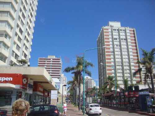 Alquiler De Local En Punta Del Este, Península