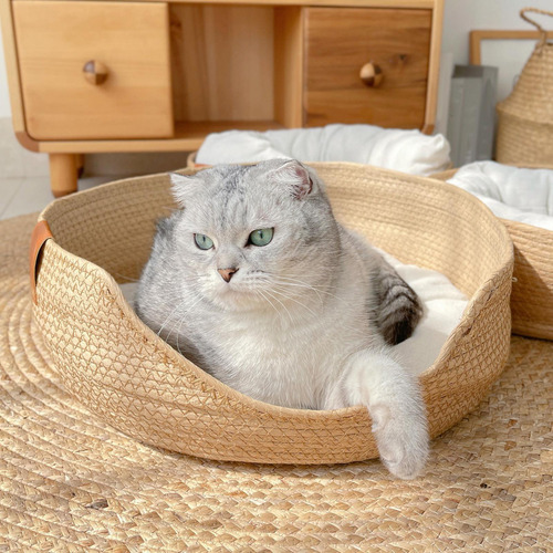 Cesta Para Cama De Gato, Rascador De Gato S Marrón