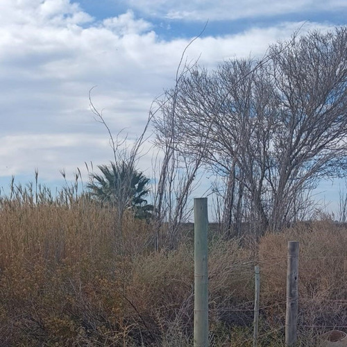 Terreno De 39,6 Has Con Un Pozo. Sarmiento