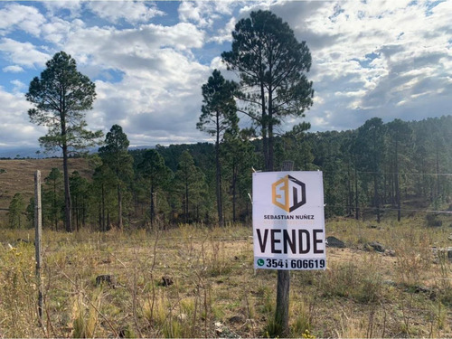 Imagen 1 de 6 de Lote Escriturado De 7432 M2 En Los Reartes- Cordoba