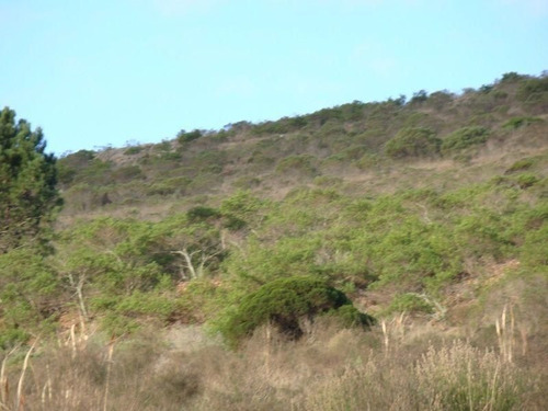 Chacra En Abra De Perdomo, Maldonado