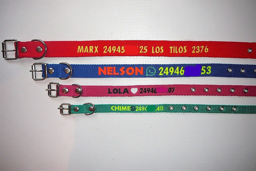 Imagen 7 de 8 de Collar Bordado Personalizado En 2 Cm De Ancho Pet Id