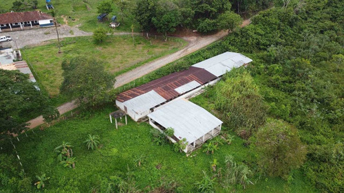 Imagen 2 de 14 de I.l Se Vende Finca En San Antonio De Caparo