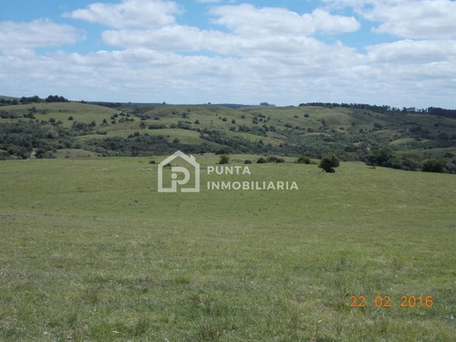 Imagen 28 de 30 de Venta Chacra 96has En Minas, Lavalleja