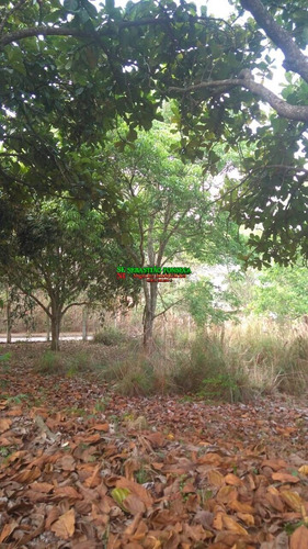 Imagem 3 de 6 de Chácara Condomínio Recanto Dos Pássaros Em Jacareí - 1489