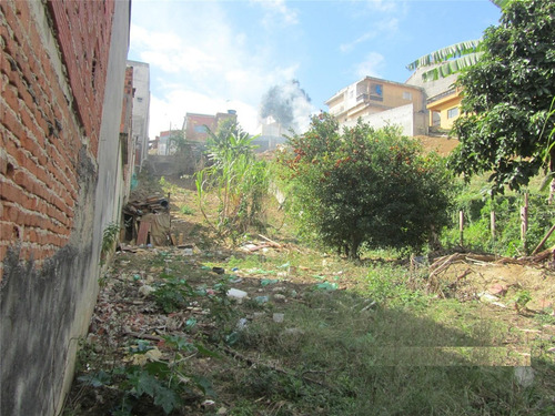 Imagem 5 de 7 de Terreno À Venda, Alto De Santo André - Santo André/sp - 29255