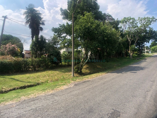 Imagen 27 de 29 de Colonia Del Sacramento - Casa A Refaccionar Con Buen Terreno