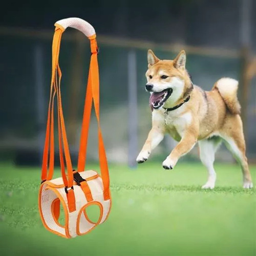 Arnés De Soporte De Cadera For Perros, Patas Traseras Y