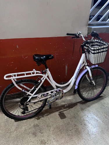 Bicicleta Monark Aro 24