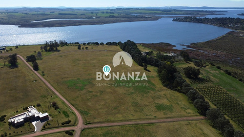 Imagen 4 de 13 de Laguna De Los Cisnes, Barrio Privado. Terrenos En Venta A 15 Min De Punta Del Este. Piriápolis, Maldonado.