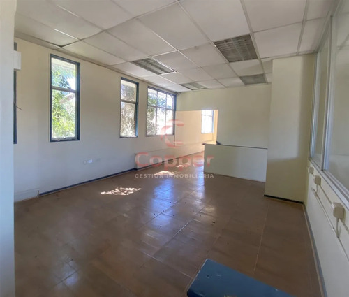 Propiedad En Arriendo, Sector Centro, Copiapó