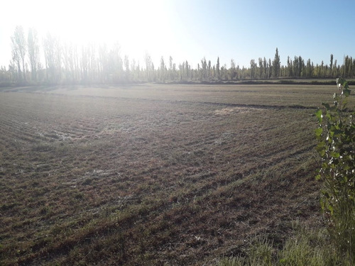 Imagen 6 de 10 de Venta O Permuta 25 Hectáres 25 De Mayo La Pampa