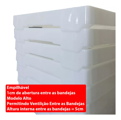 3 Bandejas Plastica Para Esfiha Salgados Esfirra Espilhável Cor Branco