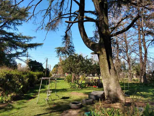 Imagen 4 de 5 de 4 Hectareas En Venta - Merlo