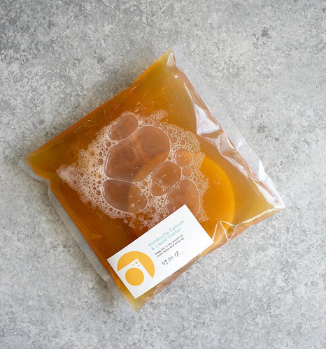 Kombucha Brewing Kit Con Kombucha Orgánica Scoby. Incluye Un