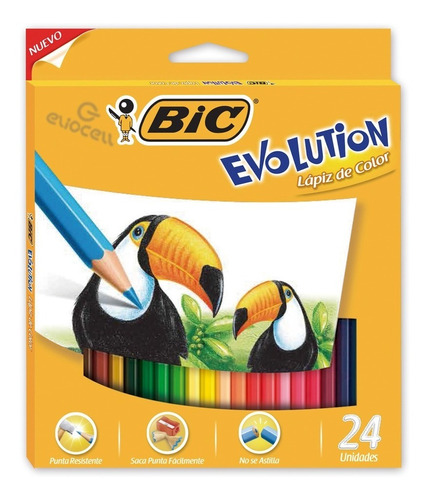 Lapices De Colores Bic Evolution X 24 Unidades