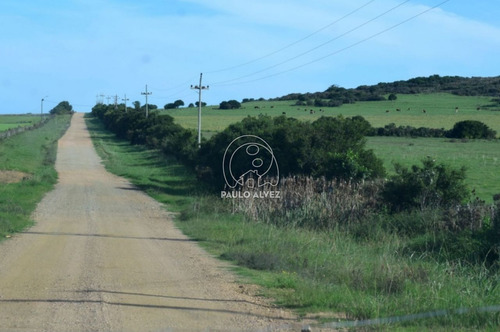 Imagen 4 de 16 de Chacras-venta-piriapolis-ch110