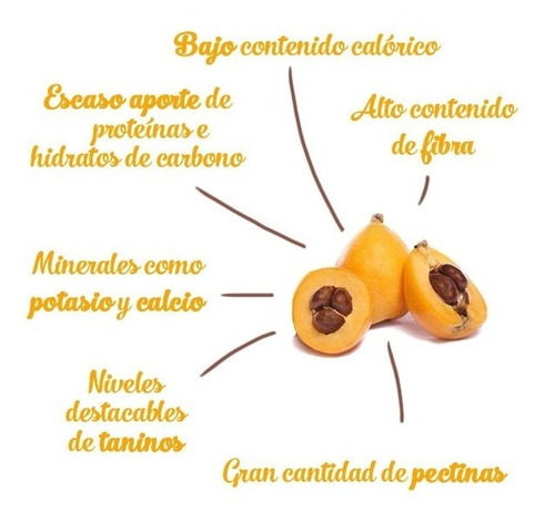 Níspero, Nísperos, Níspero Del Japón 10lts