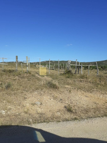 Imagen 11 de 20 de Venta De Campo De 80 Hectáreas Sobre Ruta 39