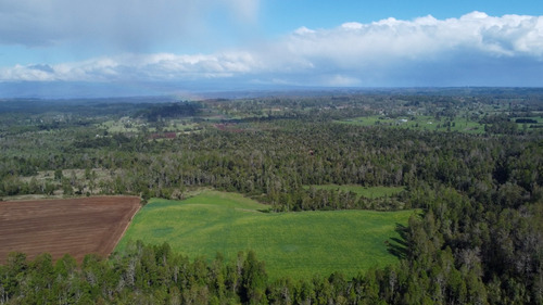 Campo En La Unión Cercano Al Lago Ranco 27,4 Hectáreas