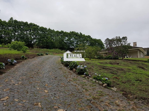 Imagem 6 de 19 de Área Para Venda - 02950.6062