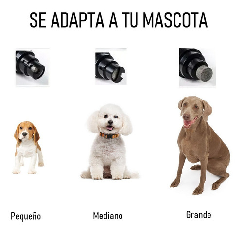 Imagen 5 de 5 de Limador De Uñas Para Mascotas