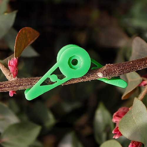 Clips De Entrenamiento De Plantas De Entrenador De Bud Clips