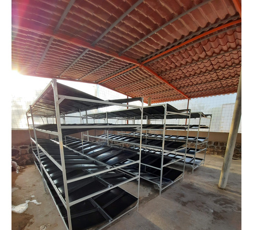 Rack 110 Charolas Para Producción Forraje Verde Hidropónico
