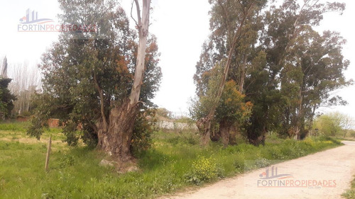 Imagen 11 de 12 de Terreno En Venta 44 Y 177- Lisandro Olmos Etcheverry