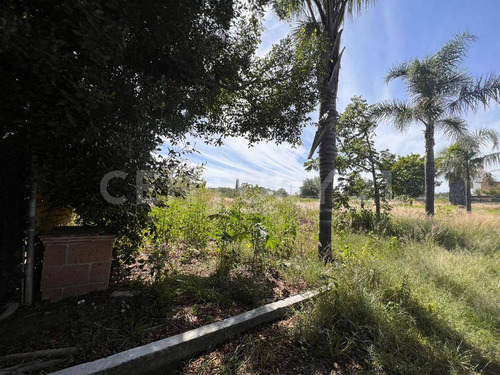 Lote Residencial En Fraccionamiento Los Cipreses, Tenextepec