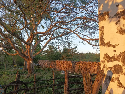Hermoso Rancho A 4km De Tekit, Dentro Del Círculo De Cenotes
