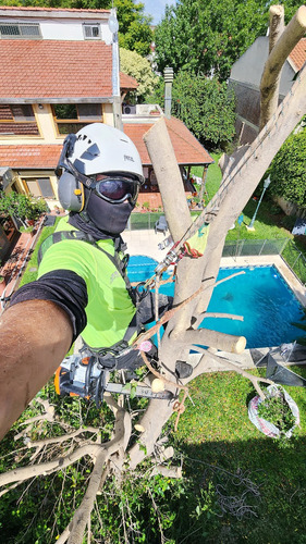 Poda De Arboles Tala Extracciones Whatsap 1528694955
