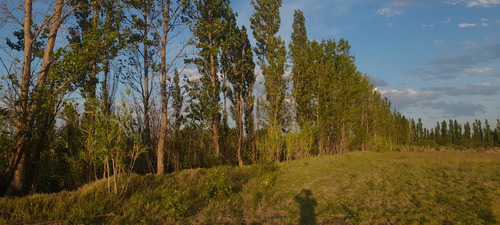 Finca 12.5 Ha. Gral. Alvear Mza. Financio. Tomo Vehículo.