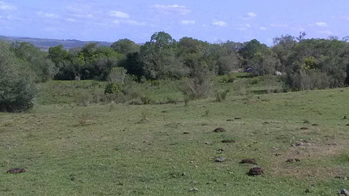 72 Hectáreas En Cuchilla Juan Gomez