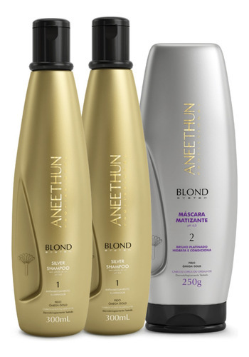 Kit Aneethun Blond System 2 Sh Silver + Mask Matizante 250g