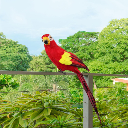 Pájaro Loro Modelo Simulación Loro Pluma Loro Guacamayo