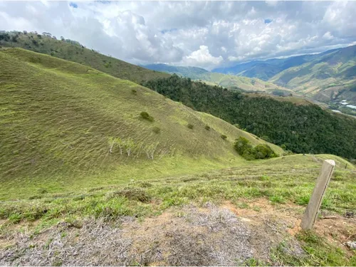 Se Vende Finca Naranjal - Roldanillo