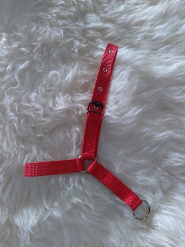 Cabresto De Mini Pônei