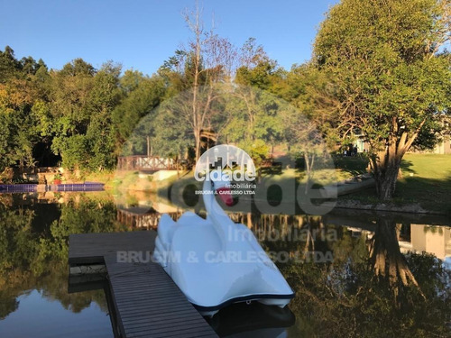 Imagem 12 de 17 de Imóvel Rural À Venda, 2 Quartos, 2 Vagas, Santa Felicidade - Cascavel/pr - 12452
