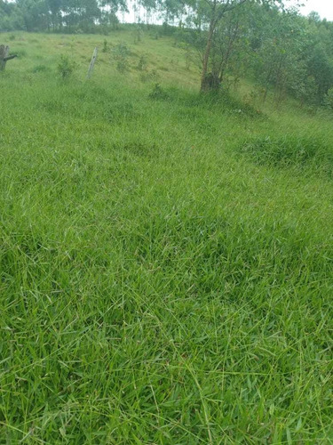 Imagem 6 de 14 de A22- Últimos Lotes Em Jacareí